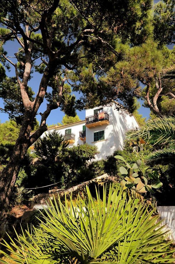 Hostal Los Pinos Кала-Сан-Висенте Экстерьер фото